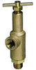 TeeJet 681534700 Pressure Relief Valve, Brass, 3/4" Female NPT, 700 PSI
