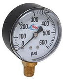 600 PSI DRY GAUGE  2-1/2" DIAMETER