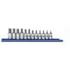 12 Piece 3/8" Drive Hex Bit Metric Socket Set