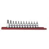 12 Piece 3/8" Drive Hex Bit SAE Socket Set