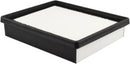 Baldwin Cab Air Filter (PA5631)