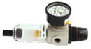 MINI FILTER/ REG. COMBO