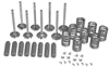 CYLINDER HEAD OVERHAUL KIT FOR MASSEY FERGUSON AND FORD