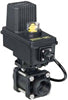 BALL VALVE ASSEMBLY, SS