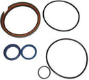 SEAL KIT- 4'' BORE X 2" ROD