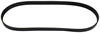 FAN BELT