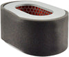 Baldwin Air Filter (PA4886)