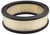 Baldwin Air Filter (PA2226)