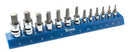 13 PC METRIC HEX BIT SOCKET SET