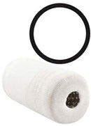 Baldwin Oil Filter (V852O)