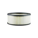 Baldwin Air Filter (PA3901)