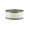 Baldwin Air Filter (PA3901)