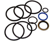 SEAL REPAIR KIT FOR CYLINDERS WITH 3" BORE AND 1-1/4" ROD