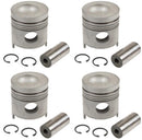 PISTON & RING KIT, .040"