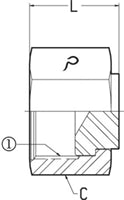 1 FEMALE OFS SWIVEL - CAP - STEEL