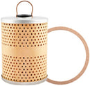 Baldwin Oil Filter (P67)