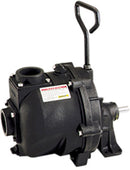 3'' CAST IRON PUMP WITH BEARING PED - 1'' SHAFT