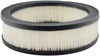 Baldwin Air Filter (PA2109)