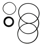 HYDRAULIC MOTOR SEAL KIT
