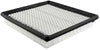 Baldwin Air Filter (PA4132)