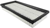 Baldwin Air Filter (PA2164)