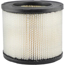 Baldwin Air Filter (PA2134)