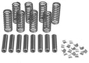 VALVE SERVICE KIT. KIT CONTAINS SPRINGS, GUIDES, VALVE KEEPERS TO SERVICE ONE ENGINE