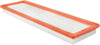 Baldwin Air Filter (PA30086)