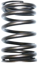 VALVE SPRING