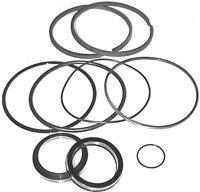 SEAL KIT FOR LANTEX CYLINDERS. 3" BORE X 1-1/4" ROD