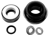 FKM (VITON&REG; TYPE) SEAL ASSEMBLY WITH 316 SS CUP