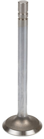 EXHAUST VALVE